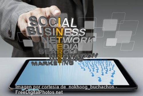 Social-Business-Network-Int Blog